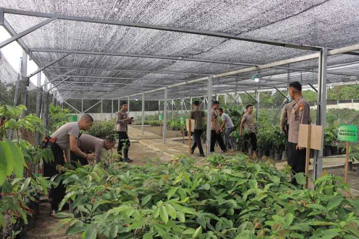 Wakapolres Kampar Cek Bank Pohon Setia, Pastikan Bibit Tanaman Subur, Kompol Rizki: Jaga Kelestarian Lingkungan