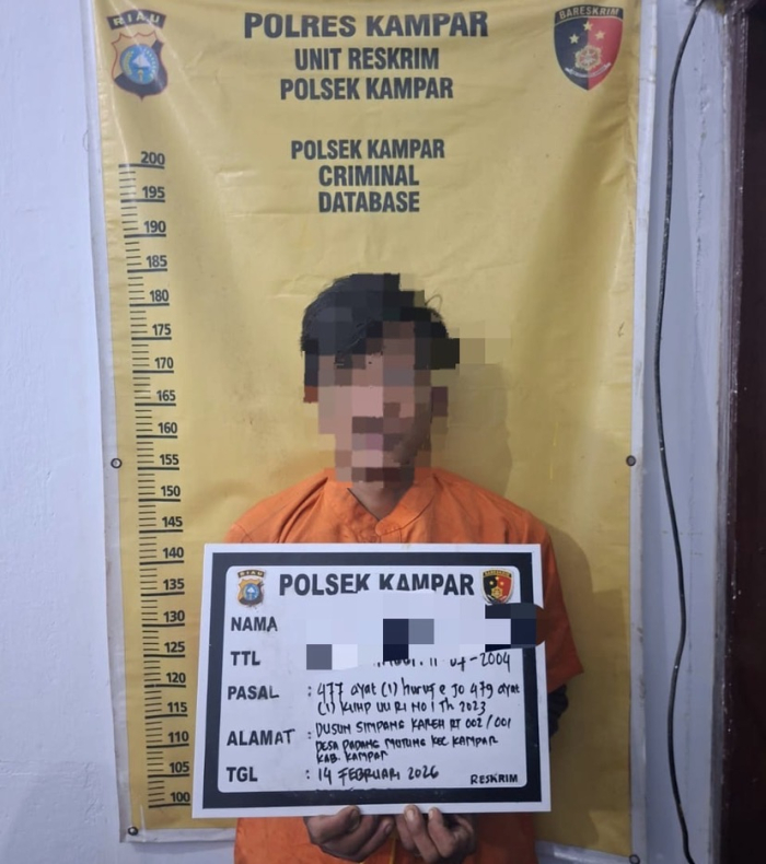 Polsek Kampar Tangkap Pelaku Curi Sawit di Desa Padang Mutung Sempat Ancam Korban Dengan Sajam