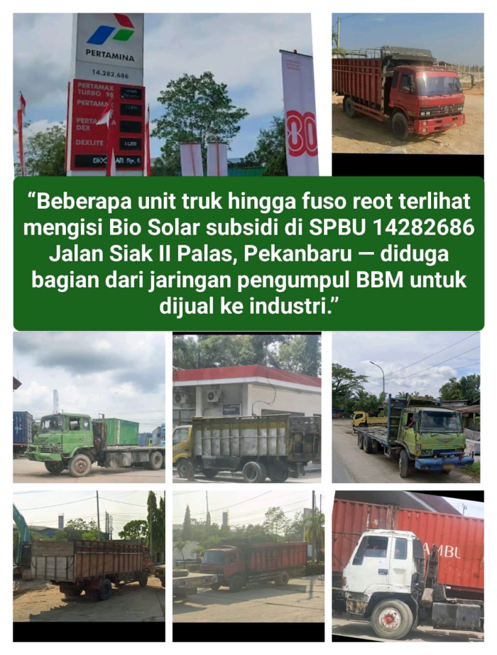 Truk truk dan fuso reot kembali terlihat di SPBU 14282686 Jalan Siak II Palas, Pekanbaru diduga mengumpulkan Bio Solar subsidi untuk jaringan mafia BB