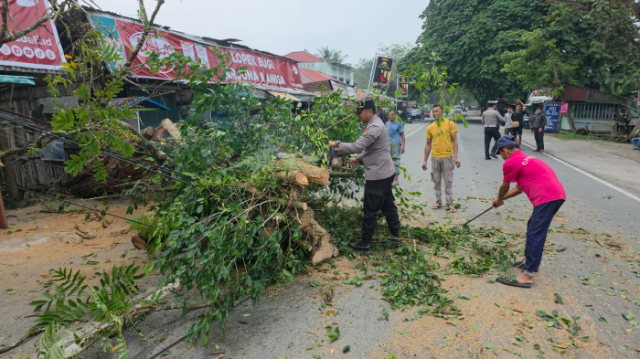 Sinergi Polisi-TNI-Masyarakat, Jalan Raya Pekanbaru-Bangkinang Bebas Pohon Tumbang