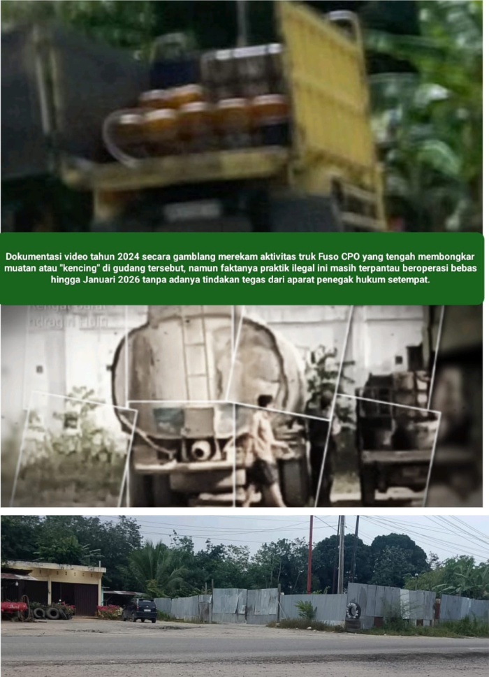 Video 2024 Jadi Bukti! Gudang Kencing CPO dan Mafia BBM di Rengat Barat Masih Beroperasi Bebas, Komitmen Aparat Dipertanyakan