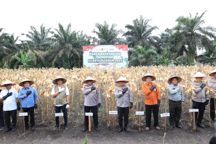 Wujudkan Swasembada Pangan, Polda Riau Panen Raya Jagung Serentak di Kampar